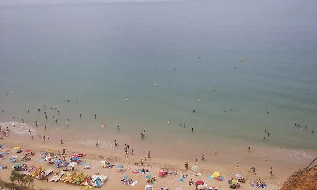 Beach Falesia Albufeira